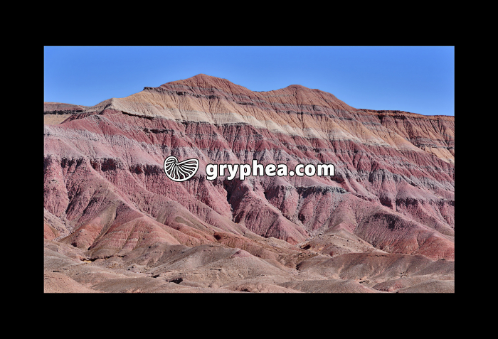 Terres bigarrées dans les badlands (Arizona, USA) - gryphea.com